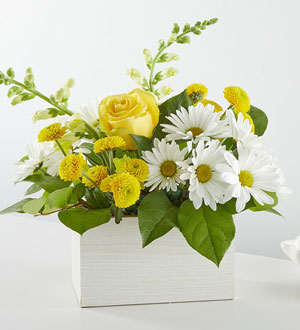 Sun Salutation Box Bouquet